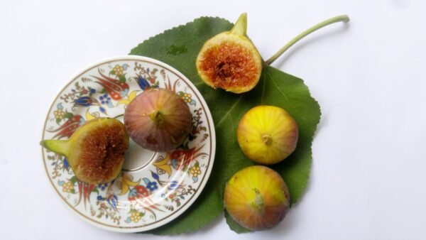 Brown Fig