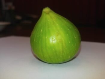 Spanish Fig