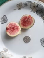 Fig from USA inside