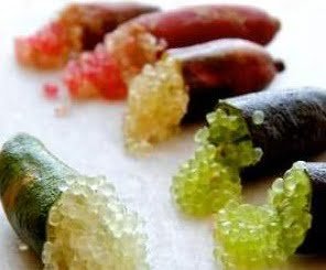 Finger Lime