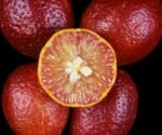 red center lime