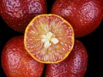 red center lime