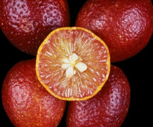 red center lime