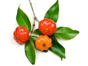 Surinam Cherry