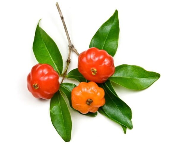 Surinam Cherry